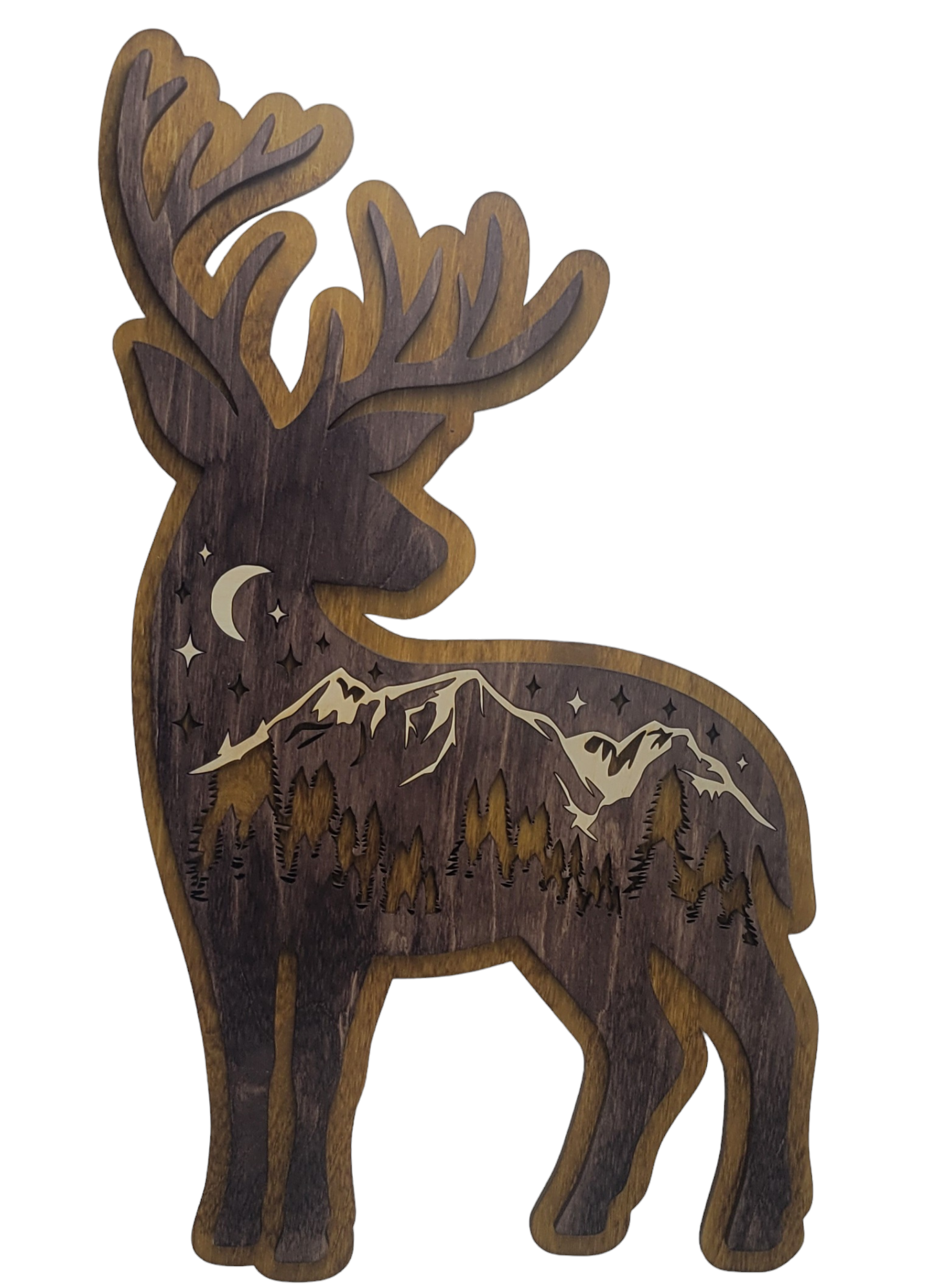 Deer, Rocky Mountain Deer