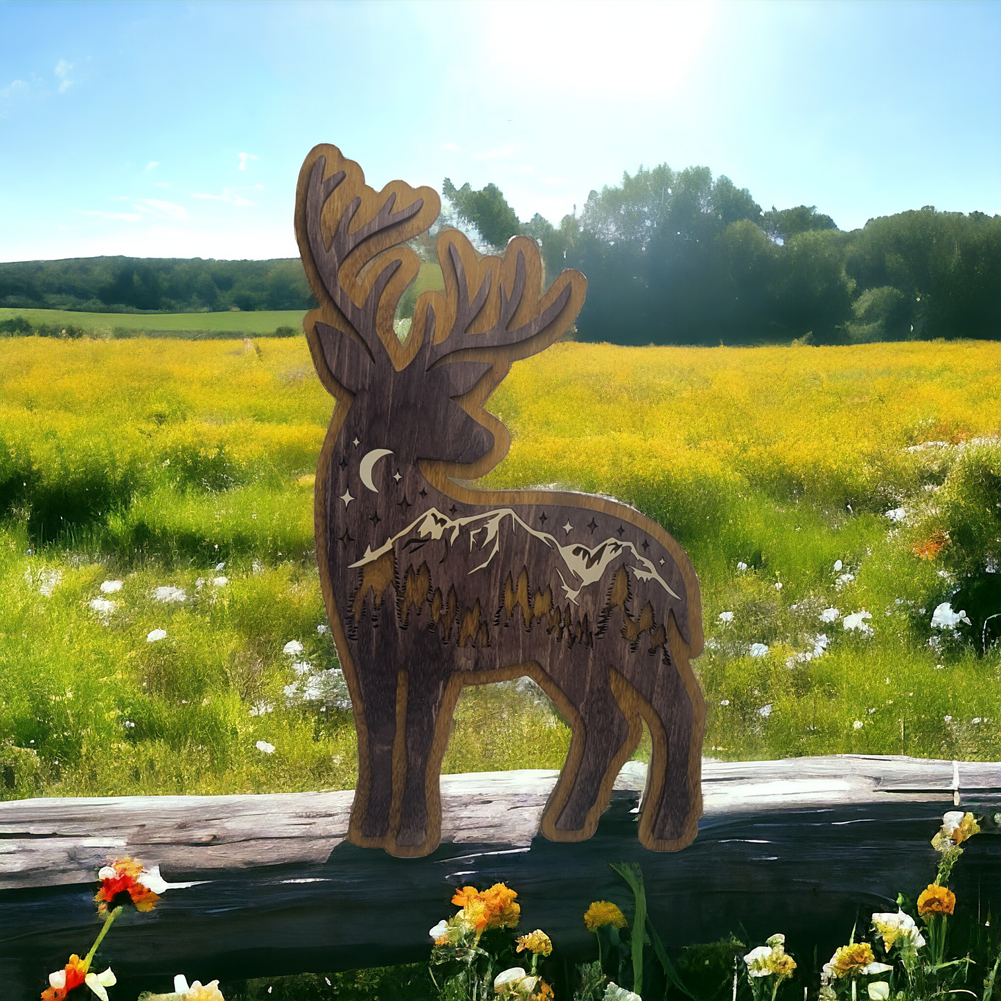 Deer, Rocky Mountain Deer